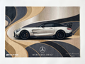 Mercedes Benz AMG GT — Designo Platinum Magno